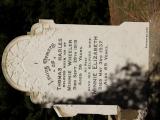 image of grave number 653759